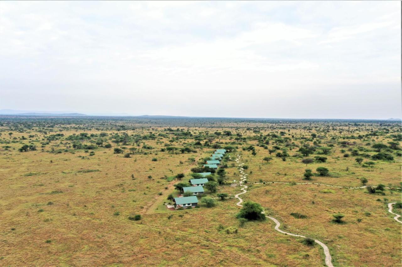Africa Safari Serengeti Ikoma Exteriör bild