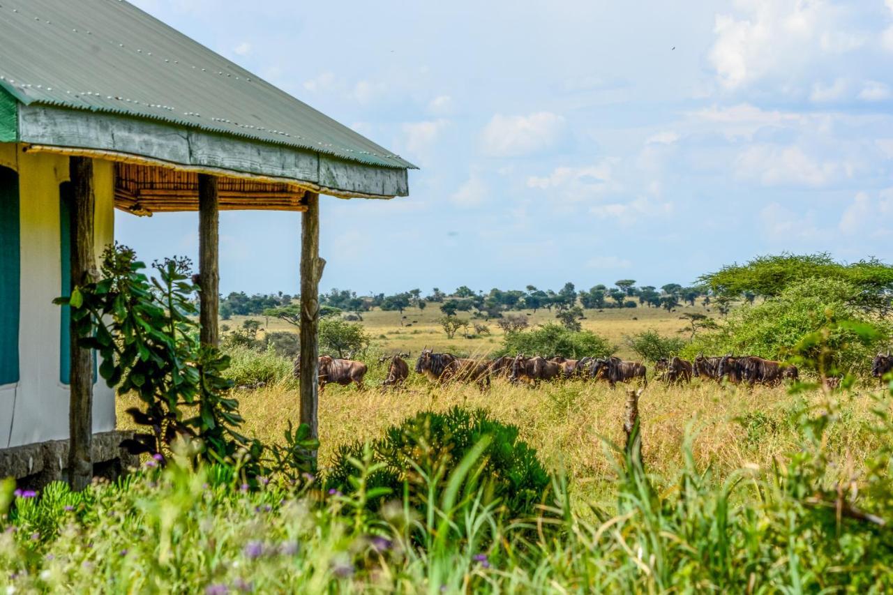 Africa Safari Serengeti Ikoma Exteriör bild