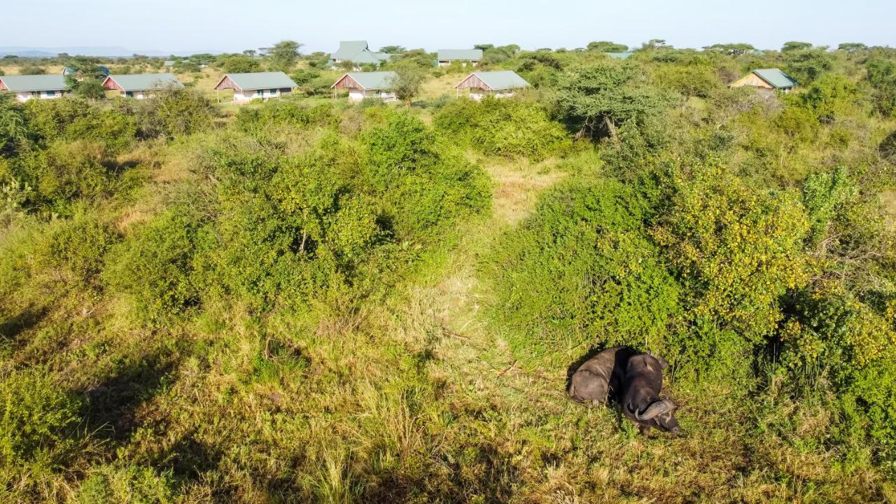 Africa Safari Serengeti Ikoma Exteriör bild