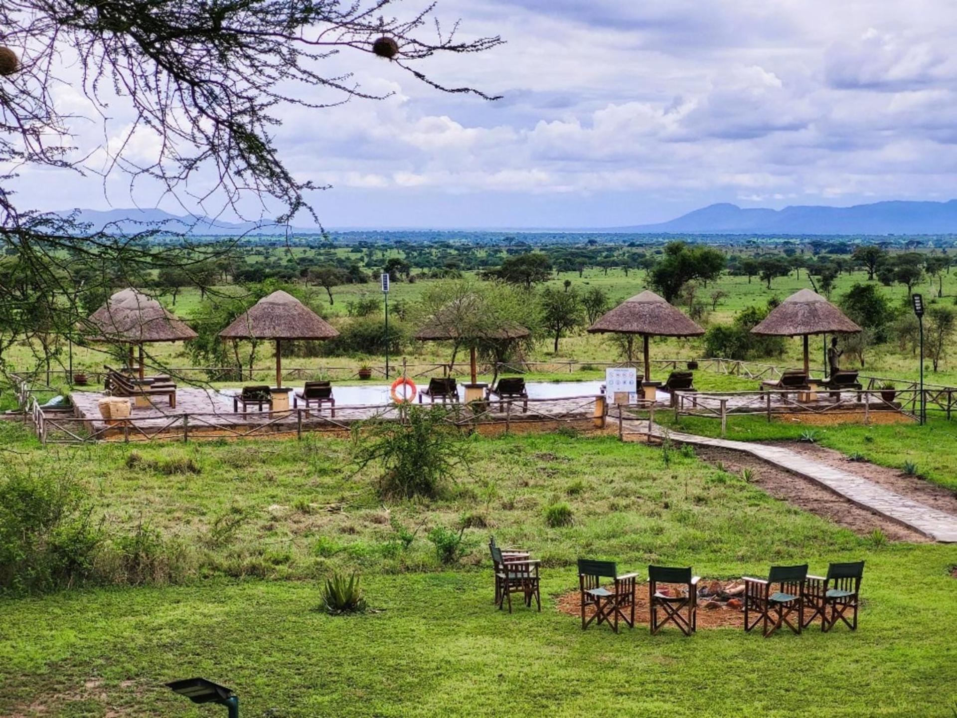 Africa Safari Serengeti Ikoma Exteriör bild